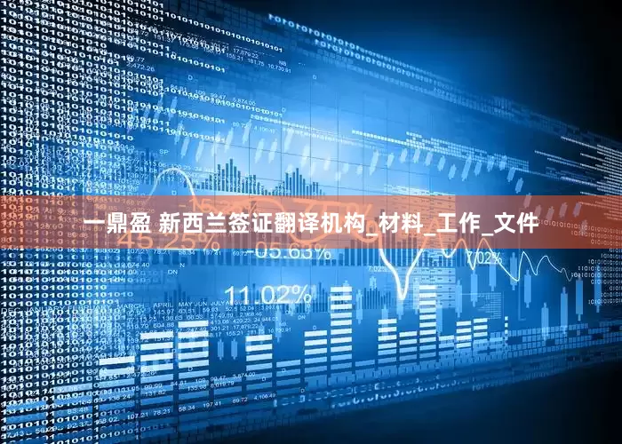 一鼎盈 新西兰签证翻译机构_材料_工作_文件