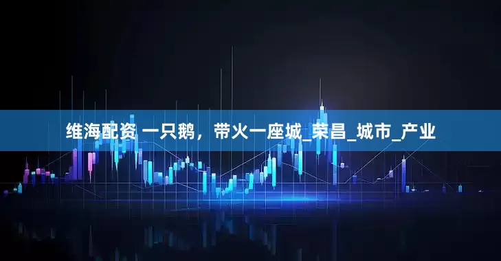 维海配资 一只鹅，带火一座城_荣昌_城市_产业