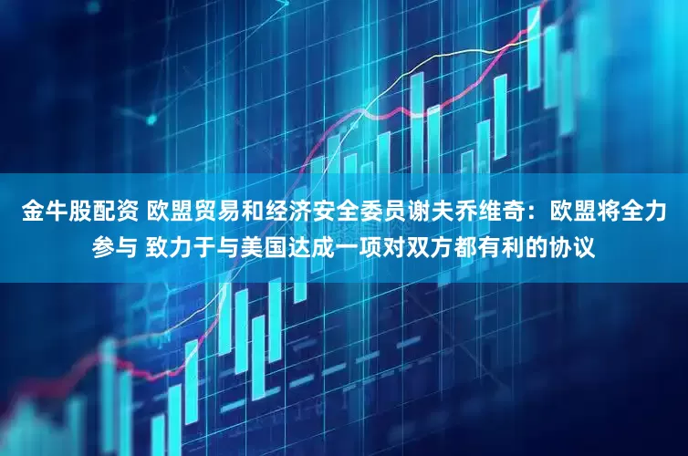 金牛股配资 欧盟贸易和经济安全委员谢夫乔维奇：欧盟将全力参与 致力于与美国达成一项对双方都有利的协议