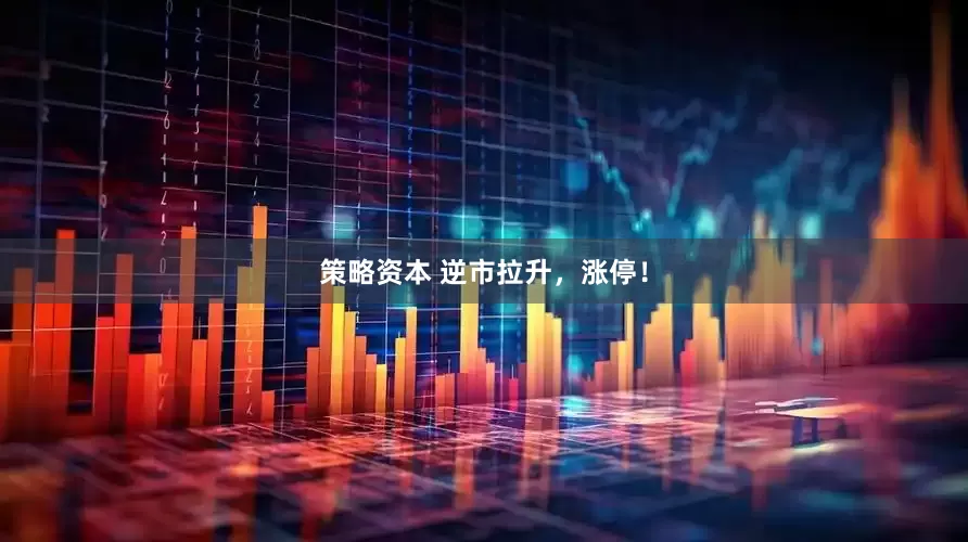 策略资本 逆市拉升，涨停！