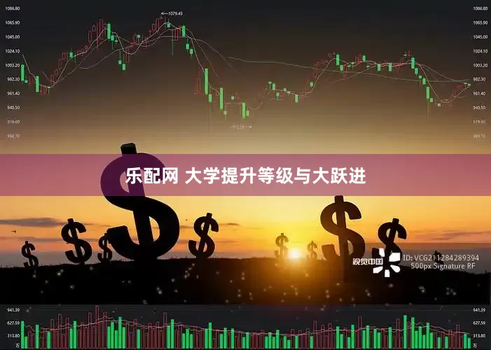 乐配网 大学提升等级与大跃进