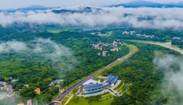 屿科配资 广惠携手，一条超600公里的翡翠绿廊崛起了